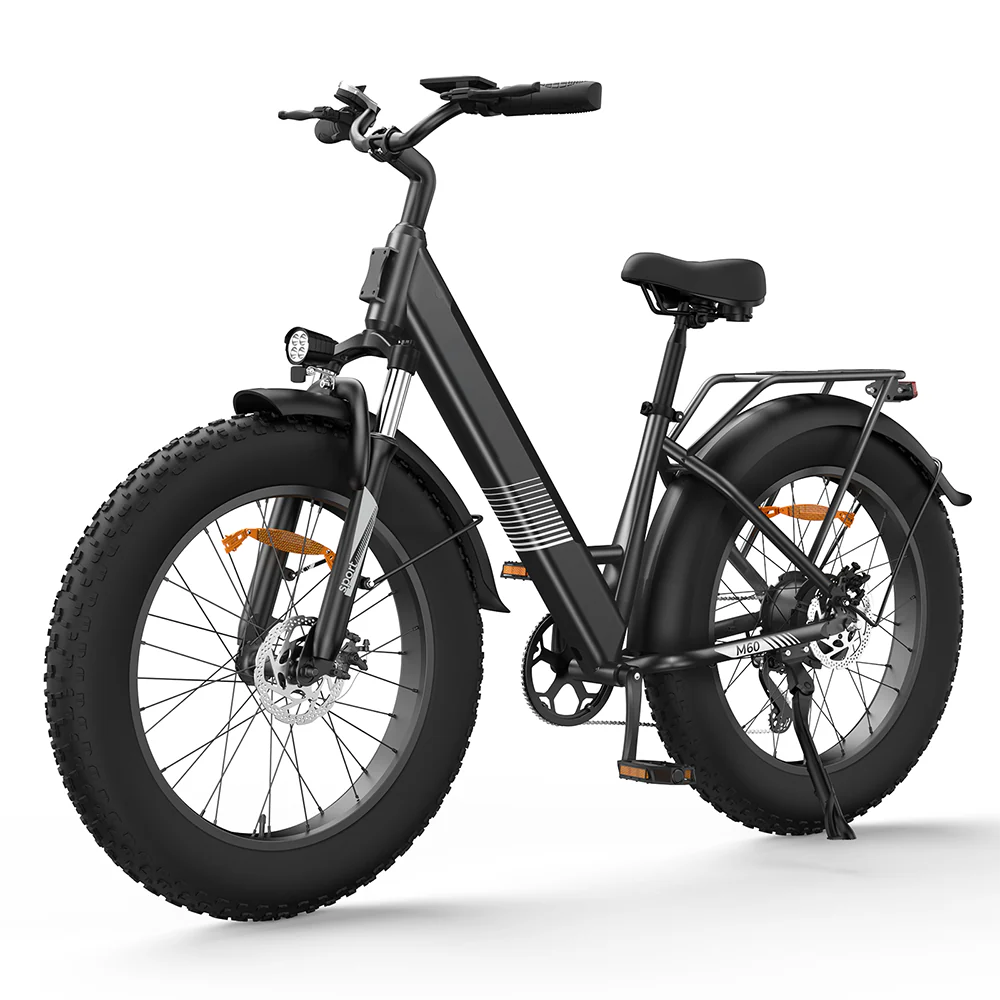 E Mountainbike Fatbike